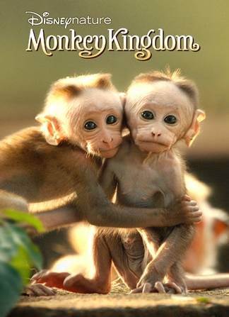 Королевство обезьян смотреть онлайн бесплатно в хорошем качестве
